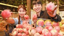 “한국판 납작복숭아 맛보세요”