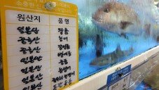 “中어선, 홋카이도 인근서 대규모 조업 후 ‘중국산’으로 판매”