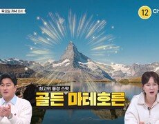 [예고] !!가는 곳 마다 대박!! 스위스 & 영탁 콜라보 투어 2탄 