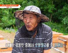자연이 준 선물 꿀벌과 양봉 부부가 만들어낸 황금빛 로열젤리 TV CHOSUN 260616 방송 