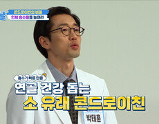 콘드로이친 흡수율은⬆ 염증은⬇ 나만의 무릎 지킴이🦵 TV CHOSUN 251211 방송 