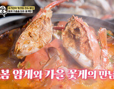 알&살이 꽉꽉 담백하고 시〰원한 꽃게탕 하나 주세요🥘 TV CHOSUN 260624 방송 