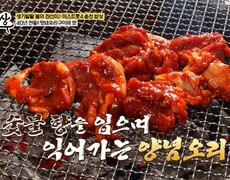 춘천의 맛 참나무 숯불향을 입혀 부드러운 육질을 자랑하는 양념오리구이🦆 TV CHOSUN 260722 방송 