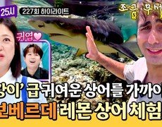 [하이라이트] 떼로 모여드는 상어?! 부캉이 영접 못 한 아쉬움을 달래주는 '카보베르데' 상어 해변 체험🦈 | JTBC 261007 방송 