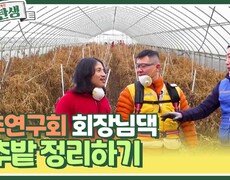 고추연구회 회장님댁 고추밭 정리하기 | KBS 240320 방송 