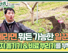 함께라면 뭐든 가능한 일꾼들 잔가지 옮기기 & 비료 뿌리기를 부탁해! | KBS 240522 방송 