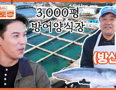장민호 팀이 찾아간, 양신 아니고 방신 양준혁! 3,000평 방어 양식에 모든 걸 쏟아부은 남자 | KBS 260123 방송  