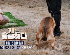 [개는 훌륭하다] 1월부터 월요일 저녁 8시 30분, 고민견을 찾아갑니다! | KBS 방송 