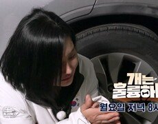 [예고] 개는 훌륭하다 12회 예고 | KBS 방송 