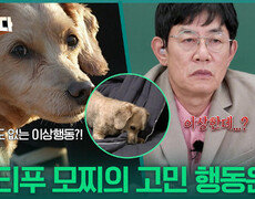 몰티푸 모찌의 고민 행동은? ＂시도 때도 없는 이상행동?!＂ | KBS 251211 방송  