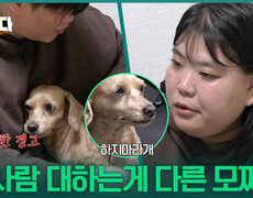 모찌를 다소곳(?) 하게 만드는 한 남자는?! ＂보호자 서운하겠다..ㅠㅠ＂ | KBS 251211 방송  