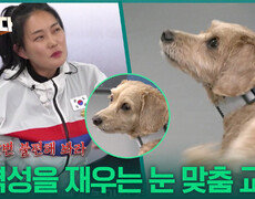 모찌의 공격성을 잠재울 눈 맞춤 교육! | KBS 251211 방송  