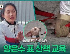 입질견도 환골탈태! 양은수 표 산책 교육 | KBS 251211 방송  