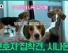 “ 넌 나한테 너무 집착해! ” 보호자 집착견, 시나몬! | KBS 251030 방송