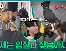 계속 쏟아져나오는 고민 행동! 이제는 입질과 짖음까지? | KBS 251030 방송