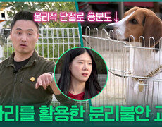 “ 기다리면 돌아오는구나! ” 울타리를 활용한 분리불안 교육! | KBS 251030 방송