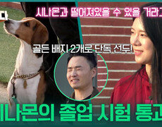 폭주 기관차 시나몬의 졸업 시험 통과! 권혁필, 골든 배지 2개로 단독 선두! | KBS 251030 방송