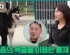 이웅종의 목줄을 이용한 통제 교육! 잘 따라오는 럭키 | KBS 251106 방송  