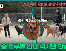 원수(?)는 사관학교에서 만난다! 교육 중 블루를 만난 럭키의 반응은? | KBS 251106 방송  
