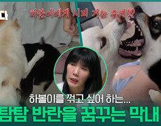 호시탐탐 반란을 꿈꾸는 3견 3색, 삼 시바네 막내 유키! | KBS 251204 방송  