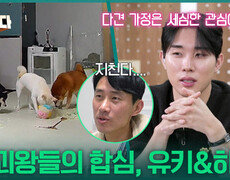 “ 파괴왕들의 합심 ” 진범 유키&모방범 하볼의 환장의 콤비! | KBS 251204 방송  