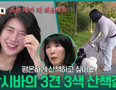 “ 산책으로 몸에 무리가 올 정도?! ” 삼시바의 3견 3색 산책길! | KBS 251204 방송  
