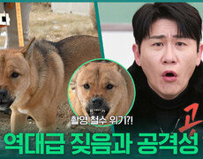 촬영 철수 위기?! 역대급 짖음과 공격성 | KBS 260105 방송  