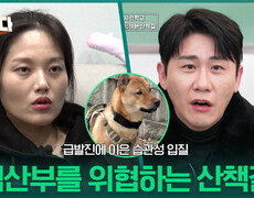 만삭 임산부를 위협하는 산책길 | KBS 260105 방송  
