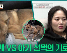 출산 임박! 개 VS 아기 선택의 기로 | KBS 260105 방송  