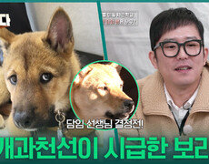 담임 선생님 결정전! 개과천선이 시급한 보리 | KBS 260105 방송  