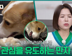 보호자의 관심은 머니뿐, 관심을 유도하는 만자 | KBS 260112 방송  