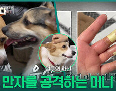질투의 화신, 만자를 공격하는 머니 | KBS 260112 방송  