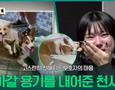 고스란히 전해지는 보호자의 마음, 살아갈 용기를 내어준 천사들 | KBS 260112 방송  
