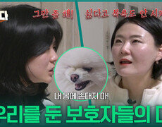 심각한 입질로 미용과 병원도 못 가는 개우리를 둔 보호자들의 대립 | KBS 260302 방송  