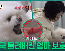 “ 어딜 만져 ” 개우리를 씻기다가 결국 물려버린 엄마 보호자 | KBS 260302 방송  