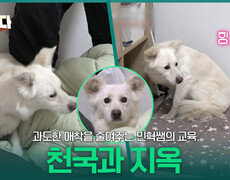 불안 3종 고민 세트의 나나, 보호자에 대한 과도한 애착을 줄여주는 민혁쌤의 ‘천국과 지옥’ 교육! | KBS 260330 방송  