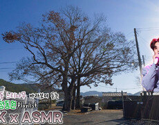 네잎클로버 #정동원 과 함께하는 대전광역시 중구 정생동 느티나무 / KBS 대전방송 