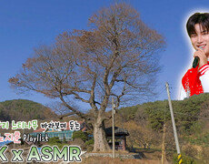 손가락 하트 #노지훈 과 함께하는 부여군 충화면 천당리 느티나무 / KBS 대전방송 