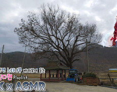 빵빵하게 살아보세 #김다현 과 함께하는 천안시 병천면 관성리 느티나무/ KBS 대전 | KBS 방송 