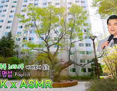 #조명섭 노래와 함께하는 대전 지족동 느티나무 / KBS 대전 방송 