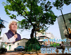 #나훈아 노래와 함께하는 대전 석교동 느티나무 ㅣKBS 대전 방송 