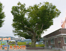 사랑해🧡 #송가인 과 함께하는 공주시 계룡면 구왕리 느티나무 / KBS 대전 | KBS방송 