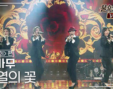 마마무(MAMAMOO) - 정열의 꽃 | KBS 150228 방송  