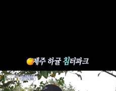 [홈즈후공개] 제주 하귤 침터파크, MBC 240509 방송 