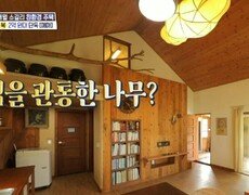 집을 관통한 나무?! 자연의 재료로만 지은 친환경 황토배기 하우스, MBC 240509 방송 