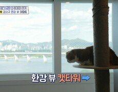 고양이도 좋아하는 한강 뷰 매매가 7억 원대 강서구 두물머리 한강 뷰 아파트, MBC 240627 방송 