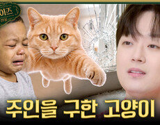 [서프살롱] 주인을 구하기 위해 몸 날려 총알을 막은 고양이 마을의 영웅이 된 고양이 이야기, MBC 260802 방송 #서프라이즈미스터리살롱 