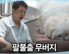 [나 혼자 산다] 잠 포기해가며 강아지 밥 챙기는 무버지 전현무도 아빠 미소 짓게 만드는 귀여움, MBC 260612 방송 