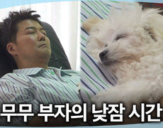 [나 혼자 산다] 무버지 품에서 얌전히 잠을 청하는 순무 아침부터 고된 육견에 뻗어버린 전현무, MBC 260612 방송 
