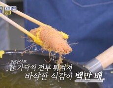 카다이프 새우 튀김?! 이런 맛은 처음이야! ㅇoㅇ?? MBN 251117 방송 